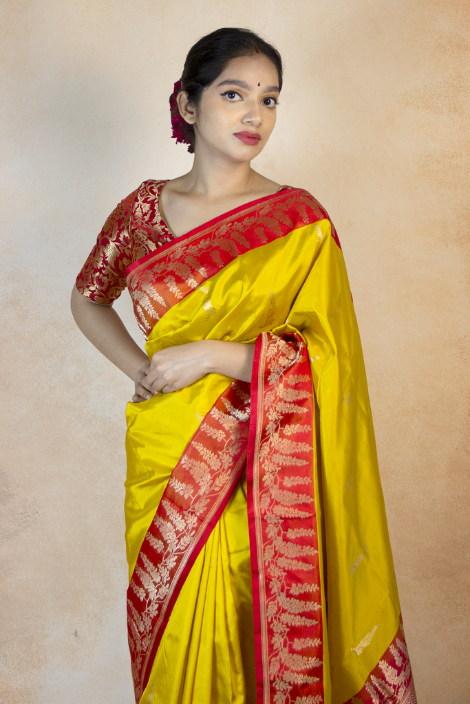 An Indian woman wearing yellow Katan Silk Banarasi saree with red border and red banarasi blouse.